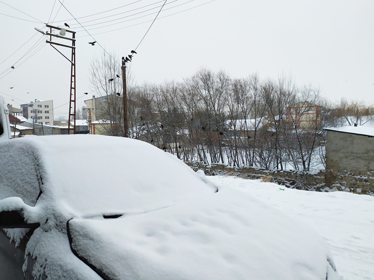 patnos ta kar manzaralari 13 01 2020 foto galeri patnos medya