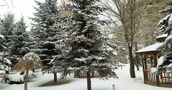 Patnos'ta Kar Manzaraları 13.01.2020