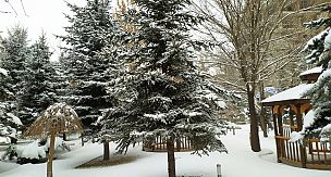 Patnos'ta Kar Manzaraları 13.01.2020