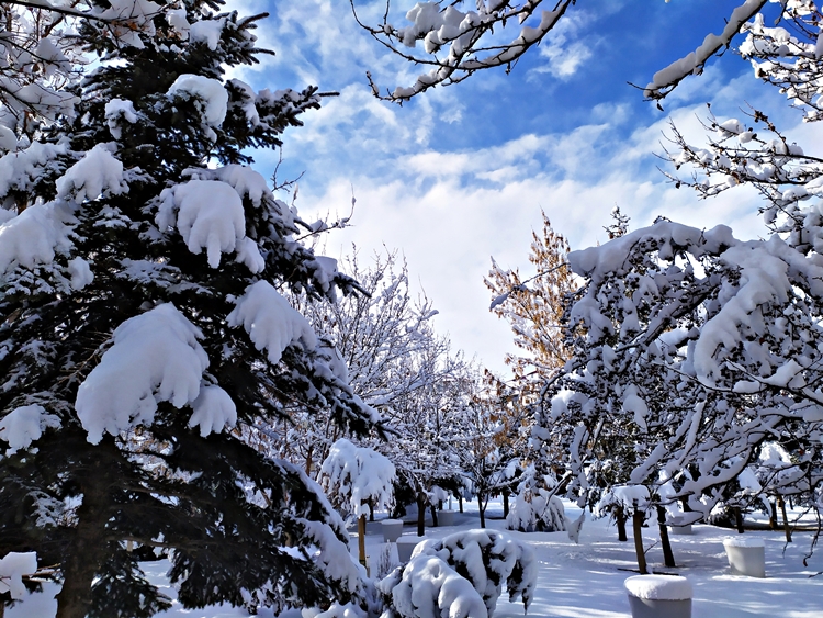 Patnos'tan Muhteşem Kar Manzaraları