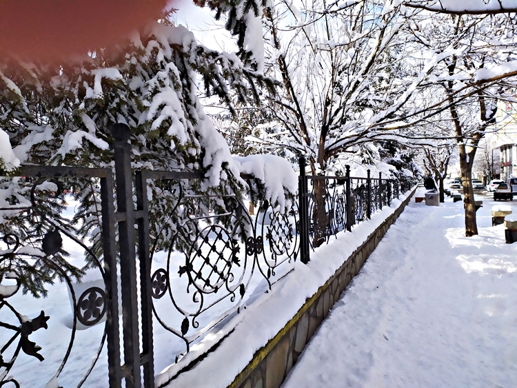 Patnos'tan Muhteşem Kar Manzaraları