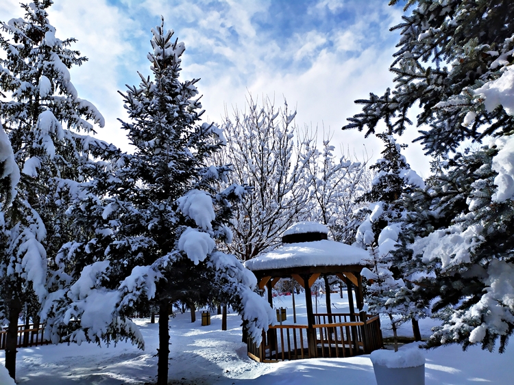 Patnos'tan Muhteşem Kar Manzaraları