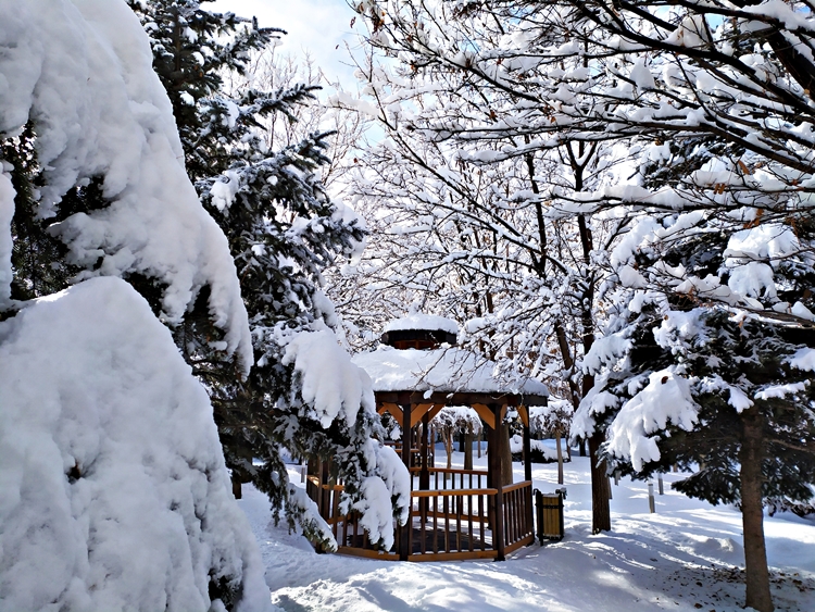 Patnos'tan Muhteşem Kar Manzaraları