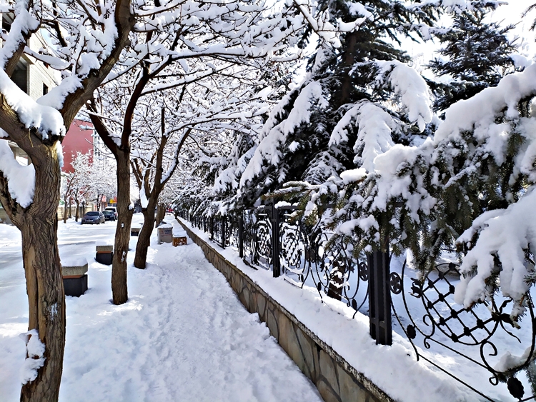 Patnos'tan Muhteşem Kar Manzaraları