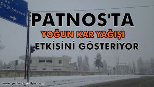 Patnos'ta Yoğun Kar Yağışı Etkisini Gösteriyor