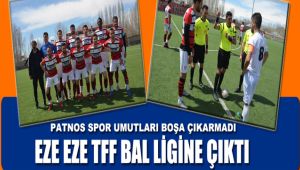 Patnos Spor Bal Ligi'ne Yükseldi