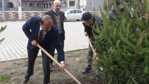 Patnos'ta 40 Ağaç Projesi