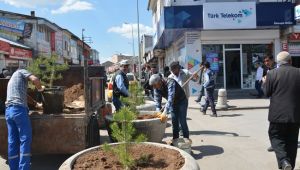 Patnos Belediyesi Ağaçlandırma ve Çiçeklendirme Çalışmalarını Başlattı.