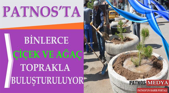 Patnos'ta binlerce çiçek ve ağaç toprakla buluşturuluyor