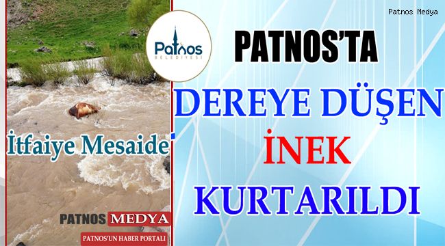 Patnos'ta Dereye düşen ineği itfaiye kurtardı
