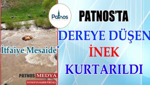 Patnos'ta Dereye düşen ineği itfaiye kurtardı