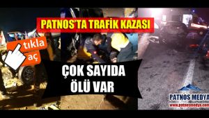 Patnos'ta Trafik Kazası Çok Sayıda Ölü Var