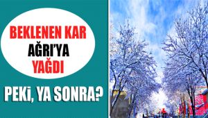 2 Şubat'ta Ağrı'da Hava Nasıl Olacak ?