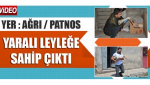PATNOS'TA YARALI OLAN LEYLEĞE SAHİP ÇIKTI
