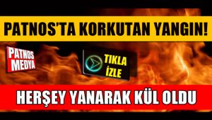 Patnos'ta Korkutan Yangın!