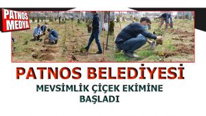 Patnos Belediyesi Mevsimlik Çiçek Ekimine Başladı.