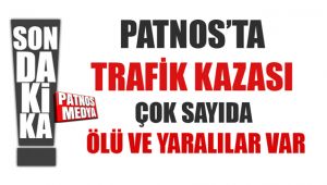 PATNOS'TA KONTROLDEN ÇIKAN ARAÇ DEVRİLDİ !