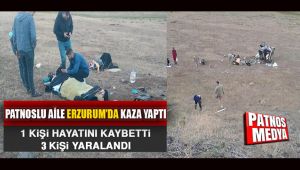 Patnoslu Aile Erzurum'da Kaza Yaptı