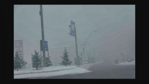 Ağrı'da sis hayatı olumsuz etkiliyor