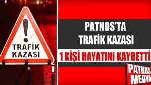 Patnos'ta Trafik Kazası bir kişi hayatını kaybetti.