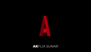 İYİ PARTİ'DEN YENİ KAMPANYA VİDEOSU; ''AKFLIX SUNAR: DAVETSİZ MİSAFİR''