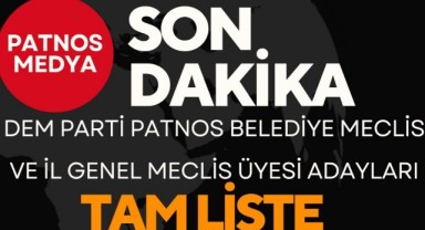 DEM PARTİ Patnos Belediye Meclisi ve İl Genel Meclisi Üyesi Adayları Tam Listesi