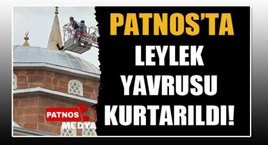 Patnos'ta Leylek Yavrusu Kurtarıldı!