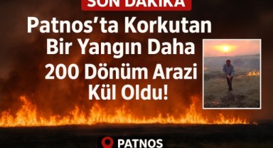 Patnos’ta Dağlık Alanda Yangın: 200 Dönüm Alan Zarar Gördü