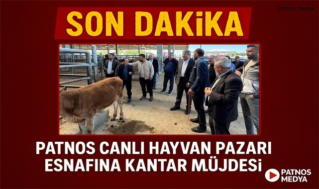 Patnos Canlı Hayvan Pazarı Esnafına Kantar Müjdesi