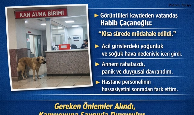 Patnos Devlet Hastanesi'nde Görüntülenen Sahipsiz Köpekle İlgili İddialara Açıklık Getirildi