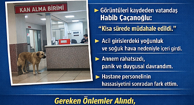Patnos Devlet Hastanesi'nde Görüntülenen Sahipsiz Köpekle İlgili İddialara Açıklık Getirildi