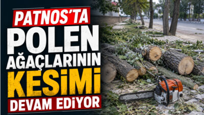 Ağrı’nın Patnos ilçesinde vatandaşların özellikle bahar aylarında yaşadığı alerjik rahatsızlıklar