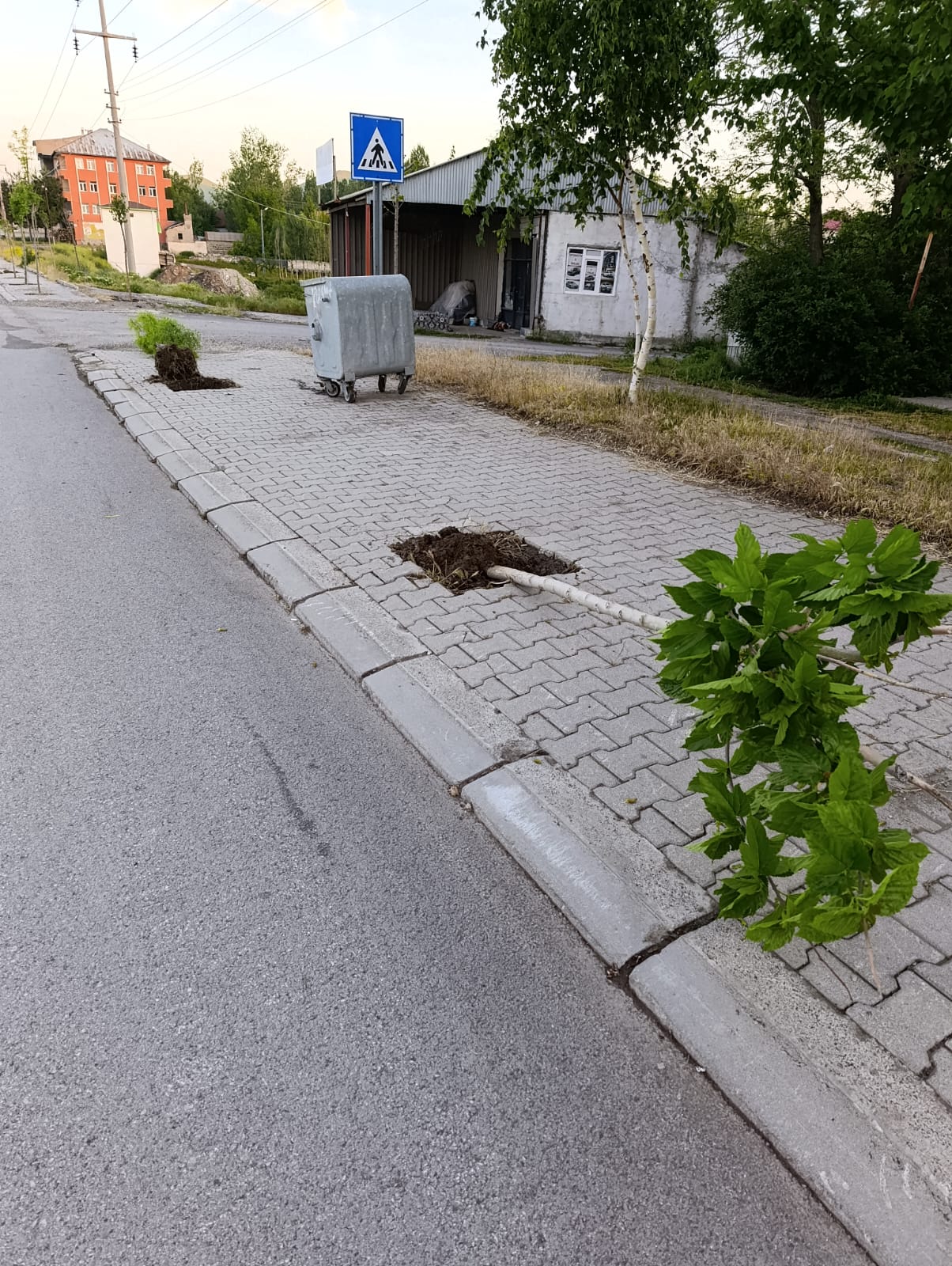 patnosagac 1